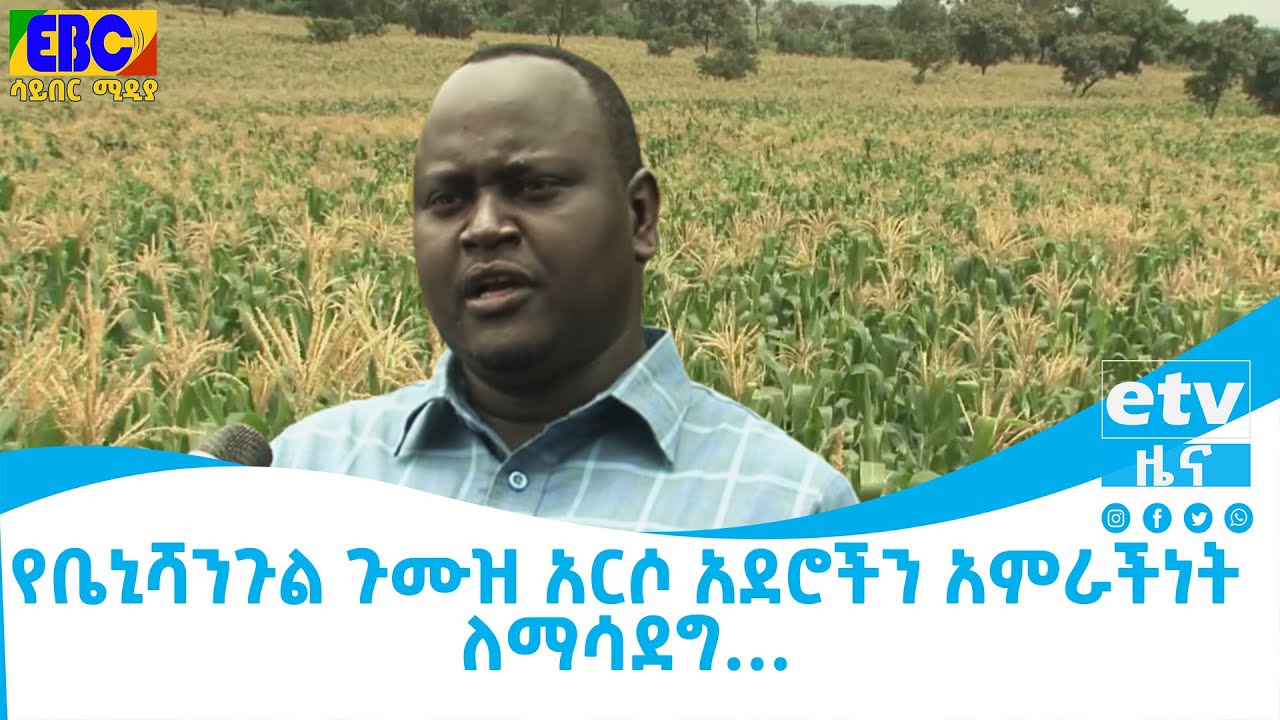 የቤኒሻንጉል ጉሙዝ አርሶ አደሮችን አምራችነት ለማሳደግ… Etv | Ethiopia | News