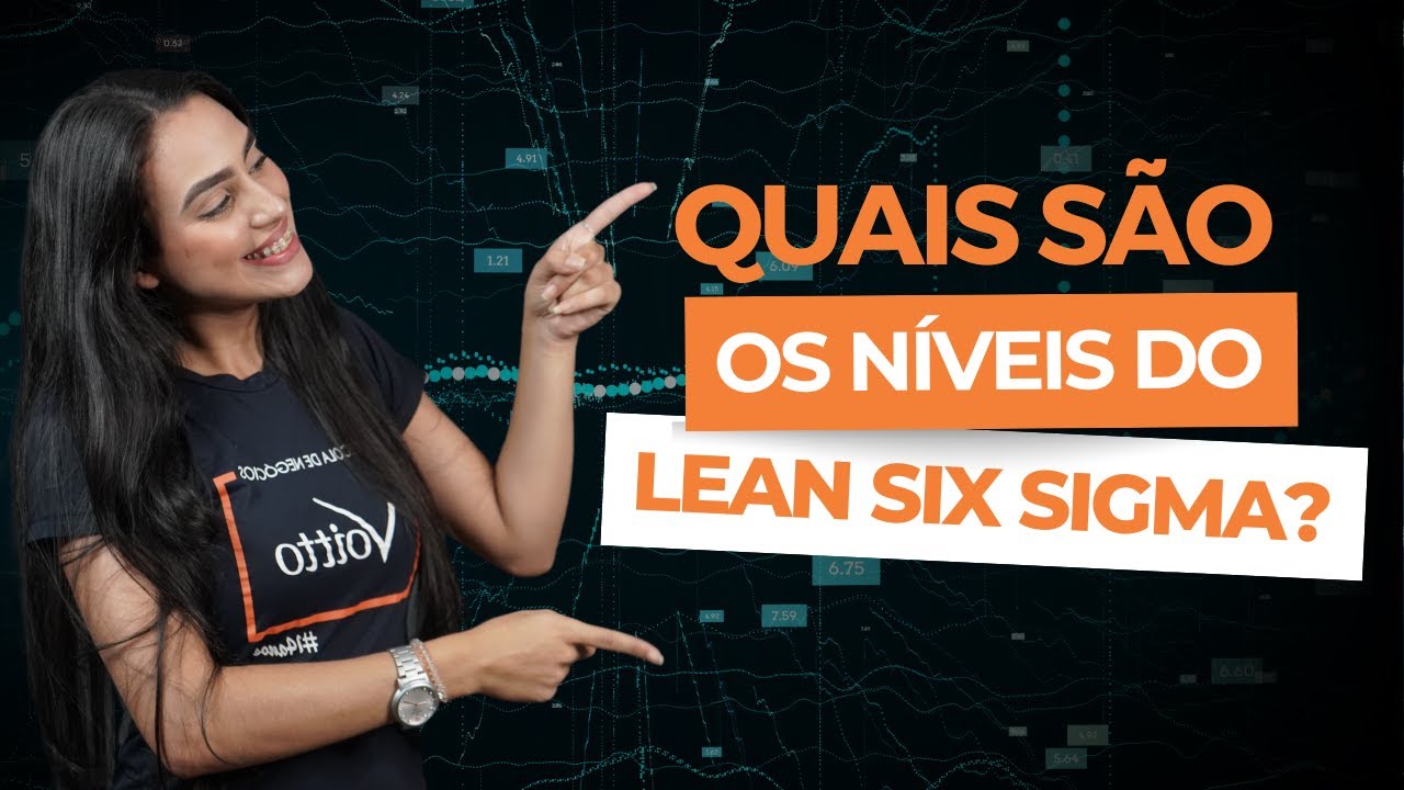 Como funciona os n&iacute;veis no Lean Seis Sigma?