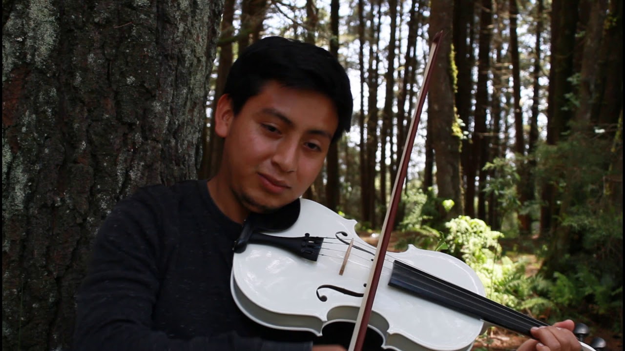 Hoja en blanco violín cover    #violín #reggae