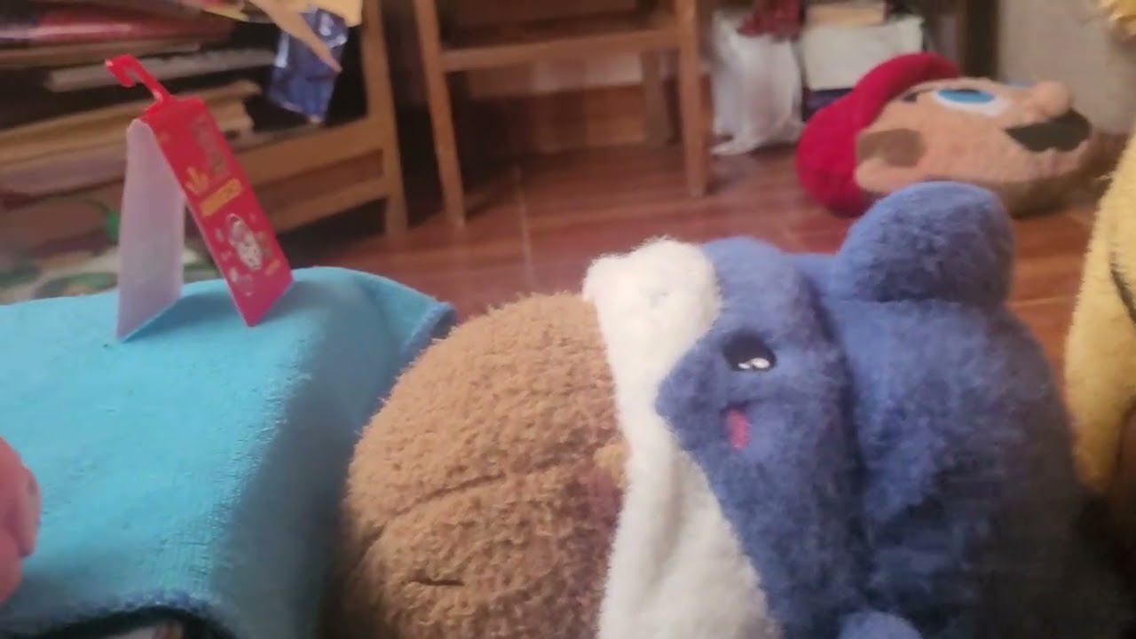 Parte 6
