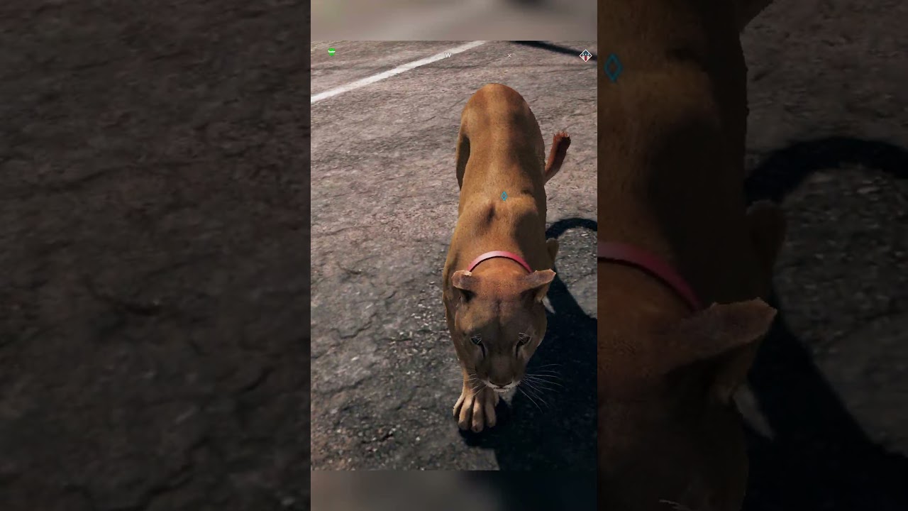 Pets in Far Cry be like..