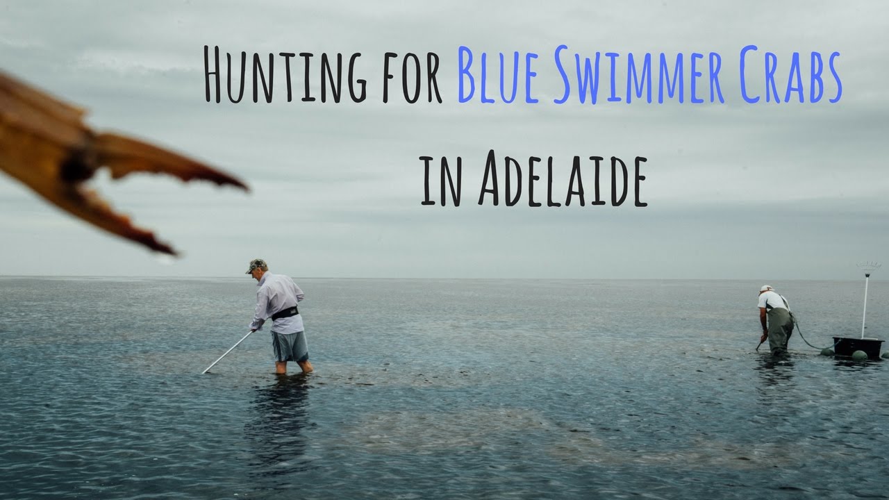BEST PLACE TO GO CRABBING IN ADELAIDE