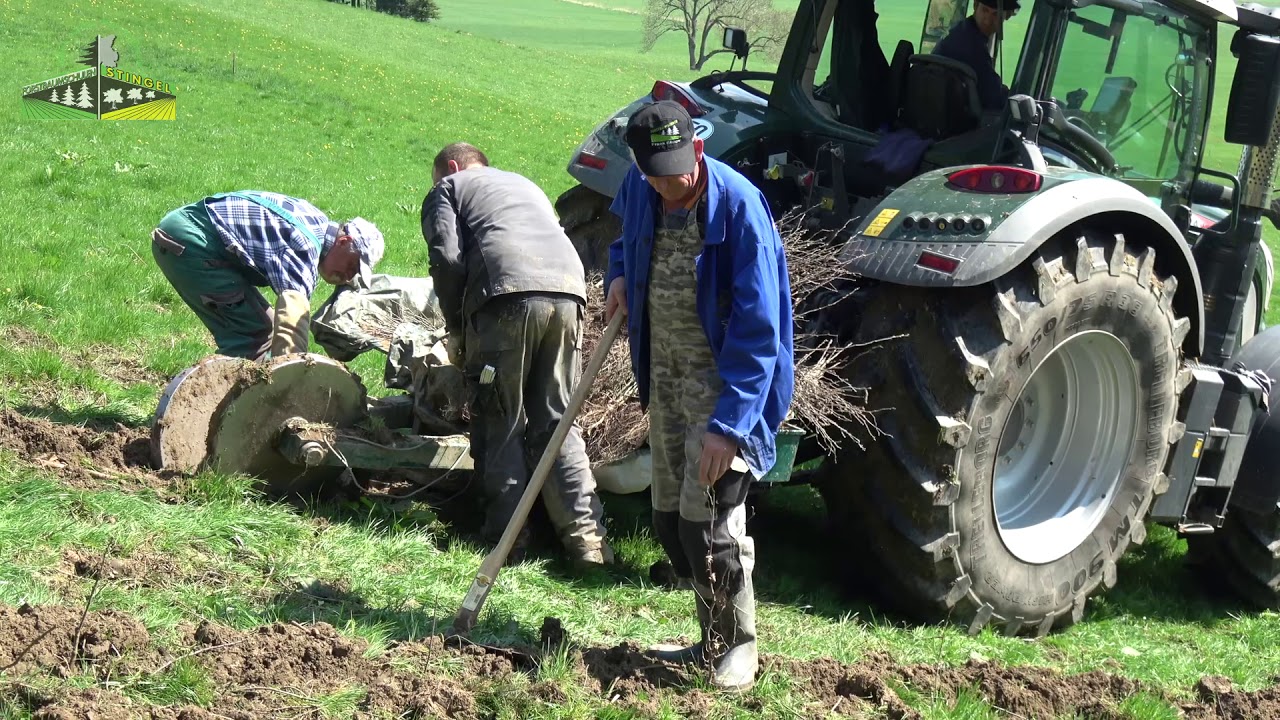 Pflugpflanzung mit Forst-Spezialpflug | Forstbaumschule Stingel