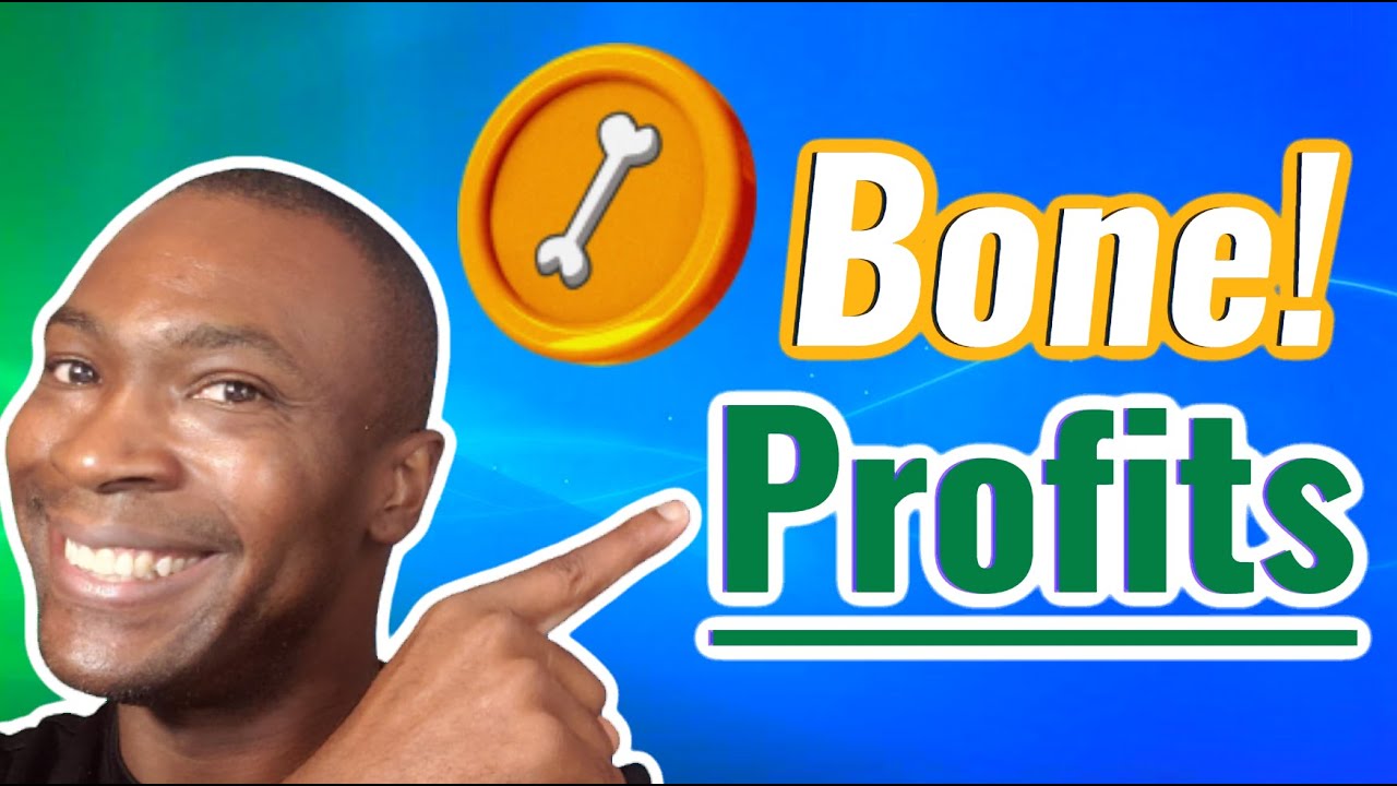 Shiba Bone Profits! How I'm tracking My Woof Bone Stats For-Profits - Shiba Swap Tutorial (SHIB)