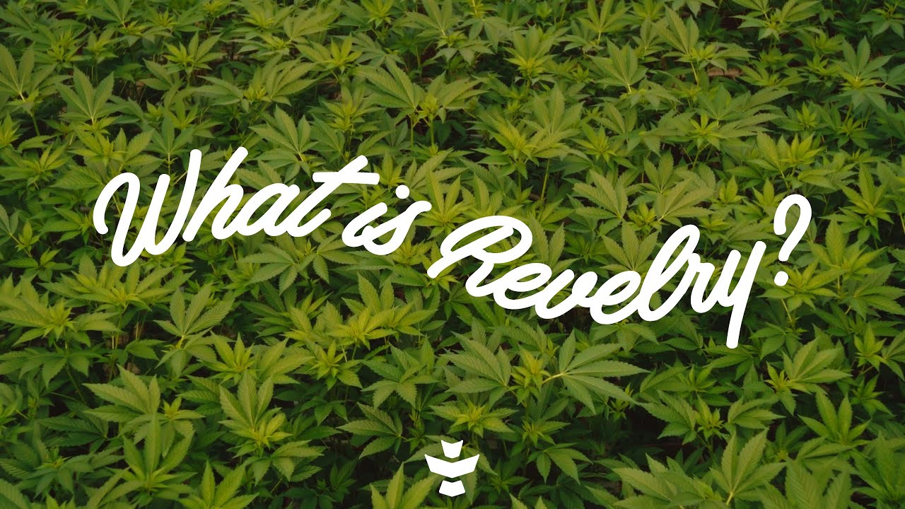 Episode 1: What is Revelry?