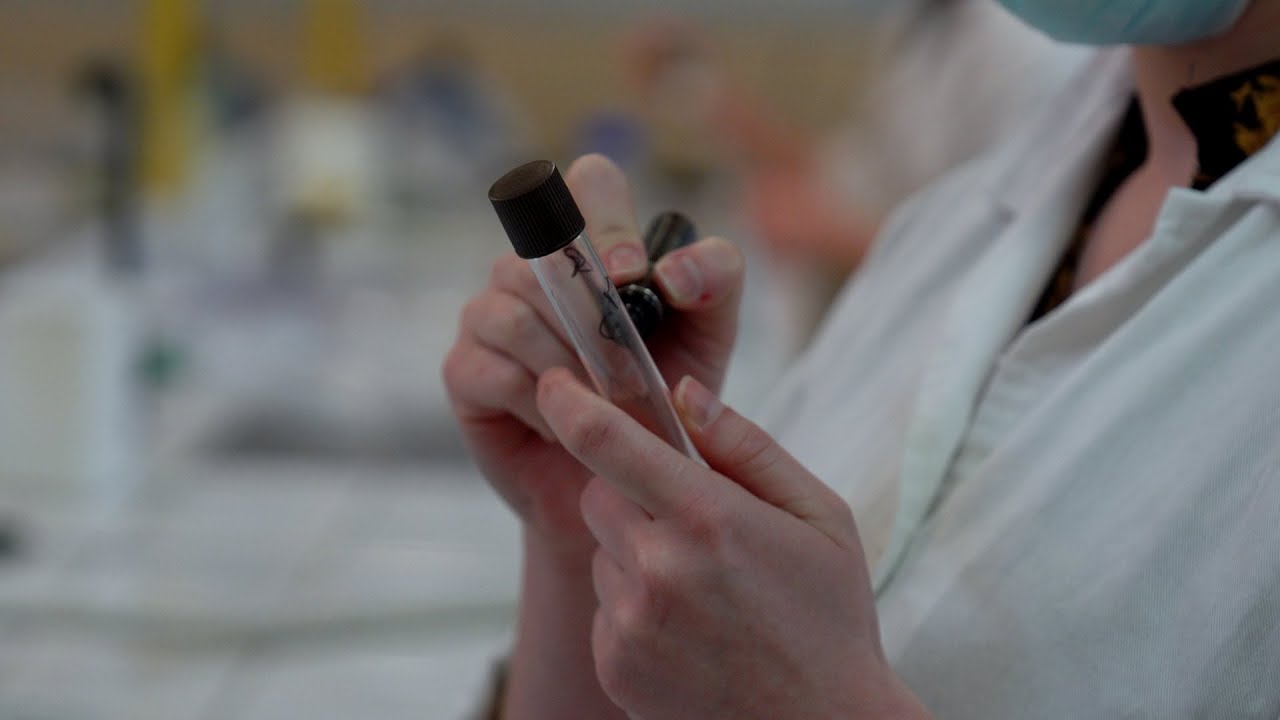 IUT AMIENS FILM GÉNIE BIOLOGIQUE