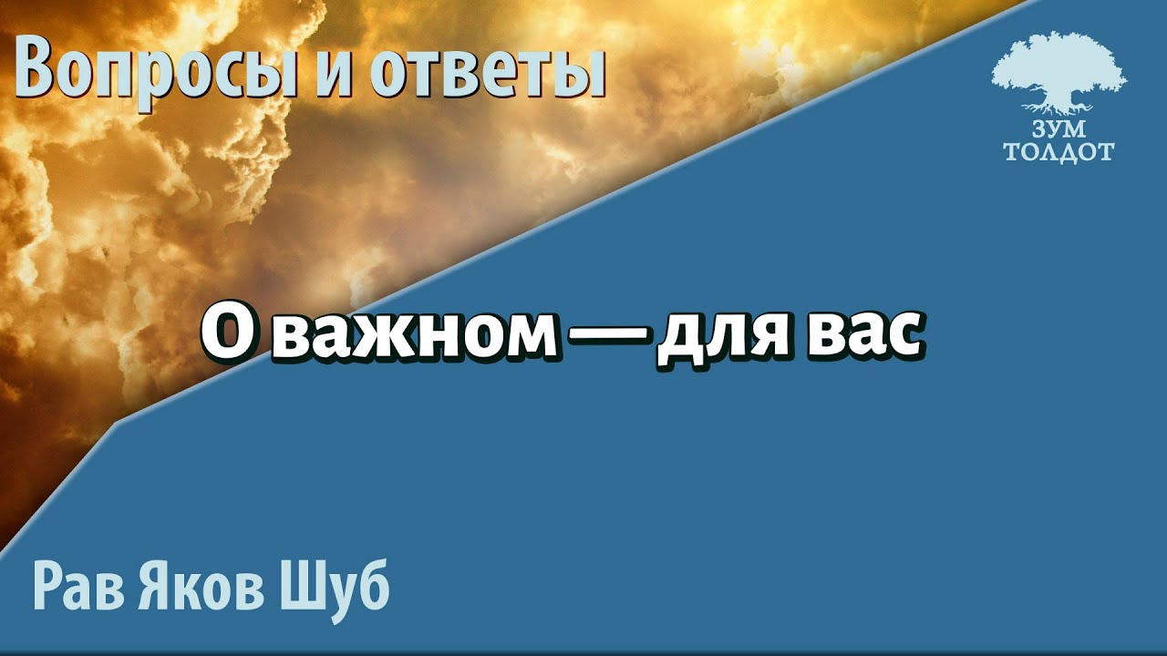 Zoom-уроки Толдот.ру