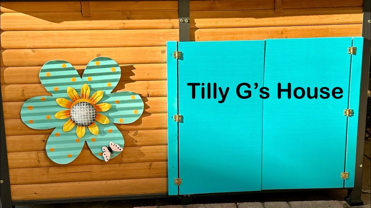 Take a tour of Tilly G’s house! 🐢🏡