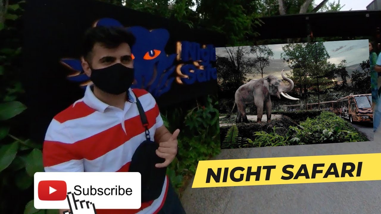 Night Safari Singapore #vlog