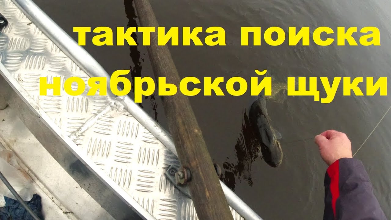 Тактика поиска ноябрьской щуки