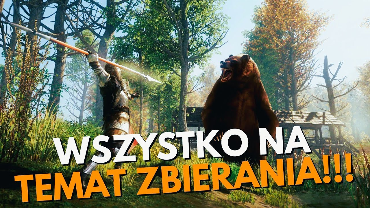 ⚡ZBIERANIE W NEW WORLD! Wszystko, co musisz wiedzieć o gathering w New World