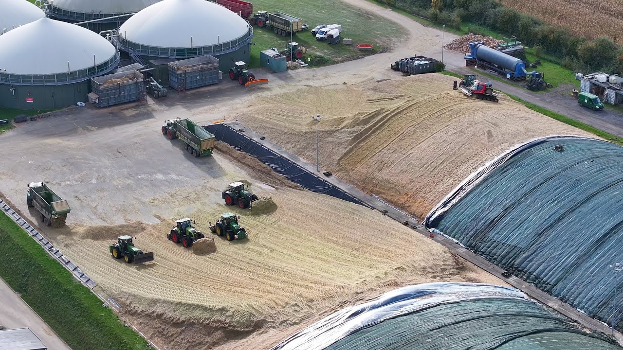 Hier schieben 7 Traktoren Mais Großeinsatz 5,6 Megawatt BGA Blumendorf Mais schieben & Walzen 