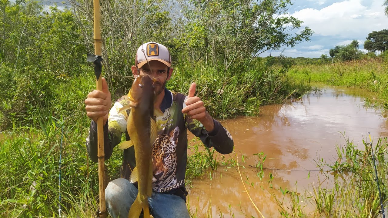 PESCA NA ENCHENTE VEJAM O MONTE DE BAGRES!!!