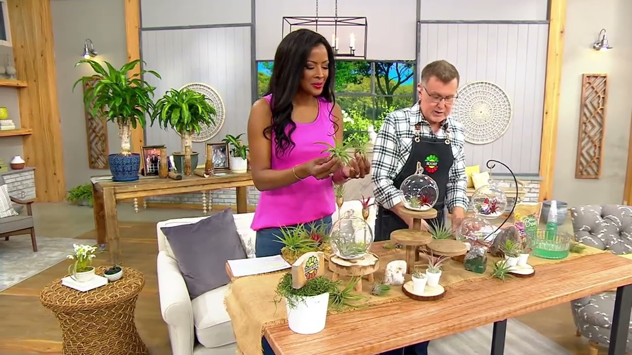 Roberta's 2pc Air Plant Collection with Glass Terrarium Globe on QVC