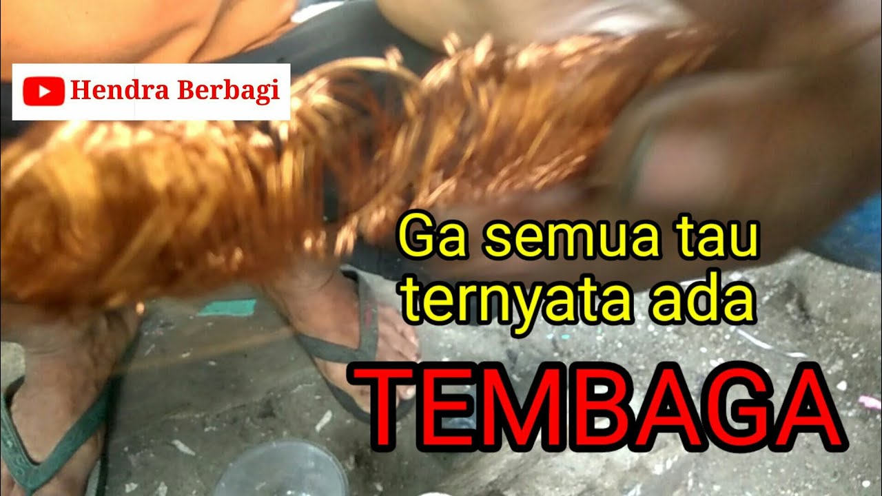 Ternyata ada TEMBAGA nya - RONGSOK