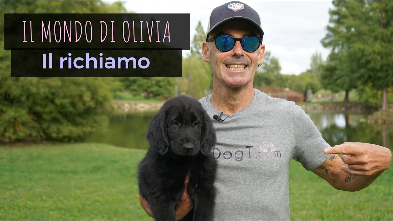 Il richiamo! Il mondo di Olivia