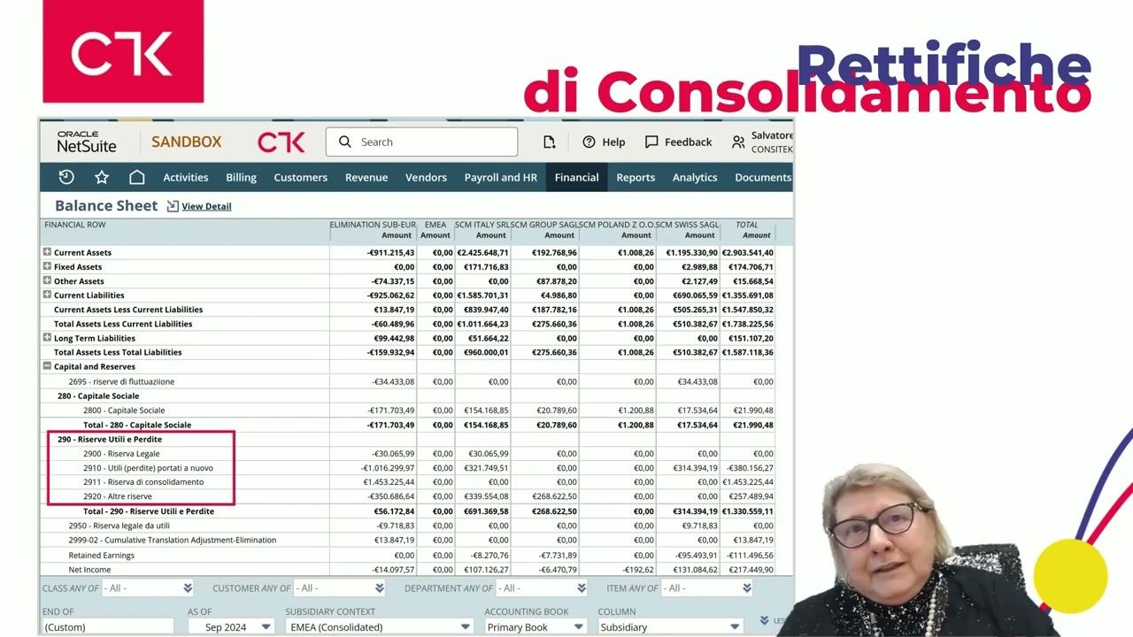 NetSuite Financial Consolidation