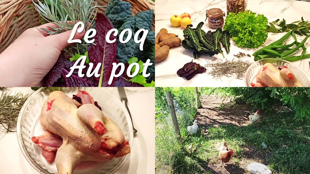 On mange quoi en hiver ? Le coq au pot et notre gestion du cheptel.