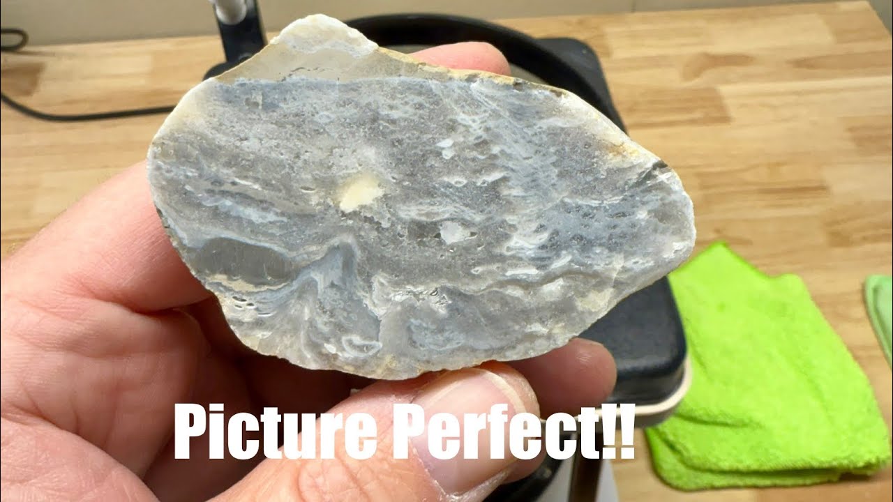 Polishing Fossils | Freeform Fridays | Two Beautiful Landscapes in One Amazing Fossil!!