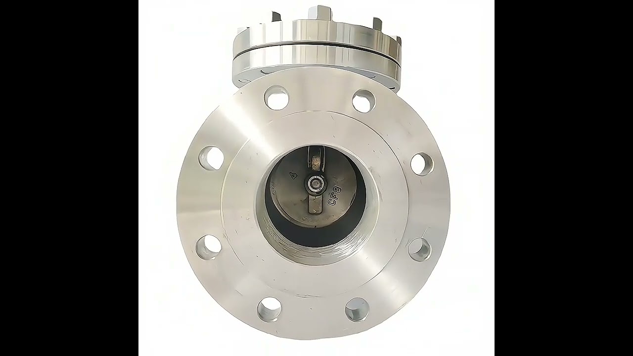 Din Swing Check Valve