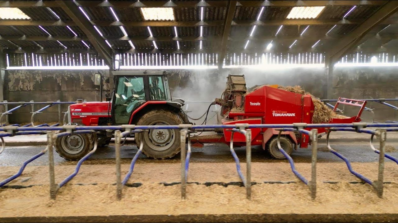 DAILY WINTER ROUTINE ON A DAIRY FARM.