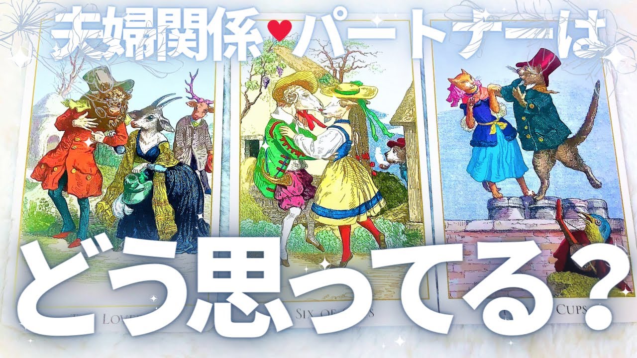 【夫婦関係】厳しめあり⚠️現状，パートナーの本音，近未来⁂リクエストリーディング⁂3択⁂タロット＋オラクル