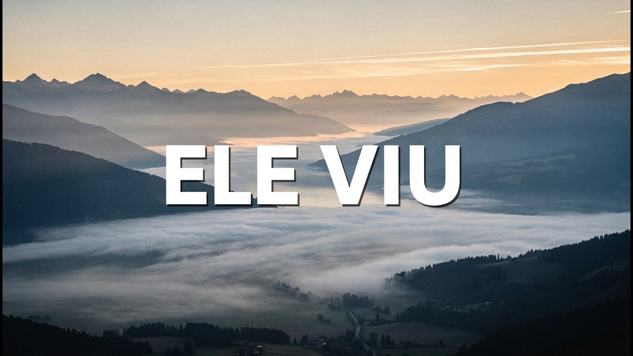 Ele viu sua dor em silêncio