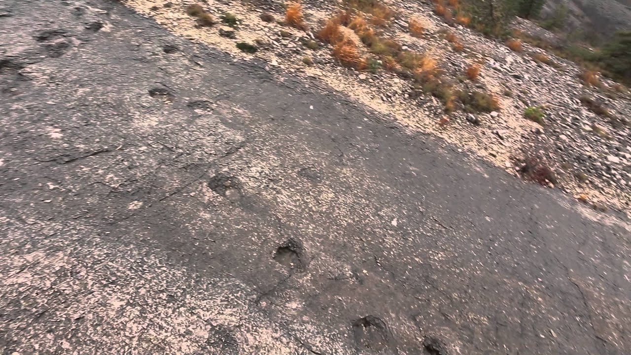 Impronte di dinosauro a Lavini di Marco, a sud di Rovereto