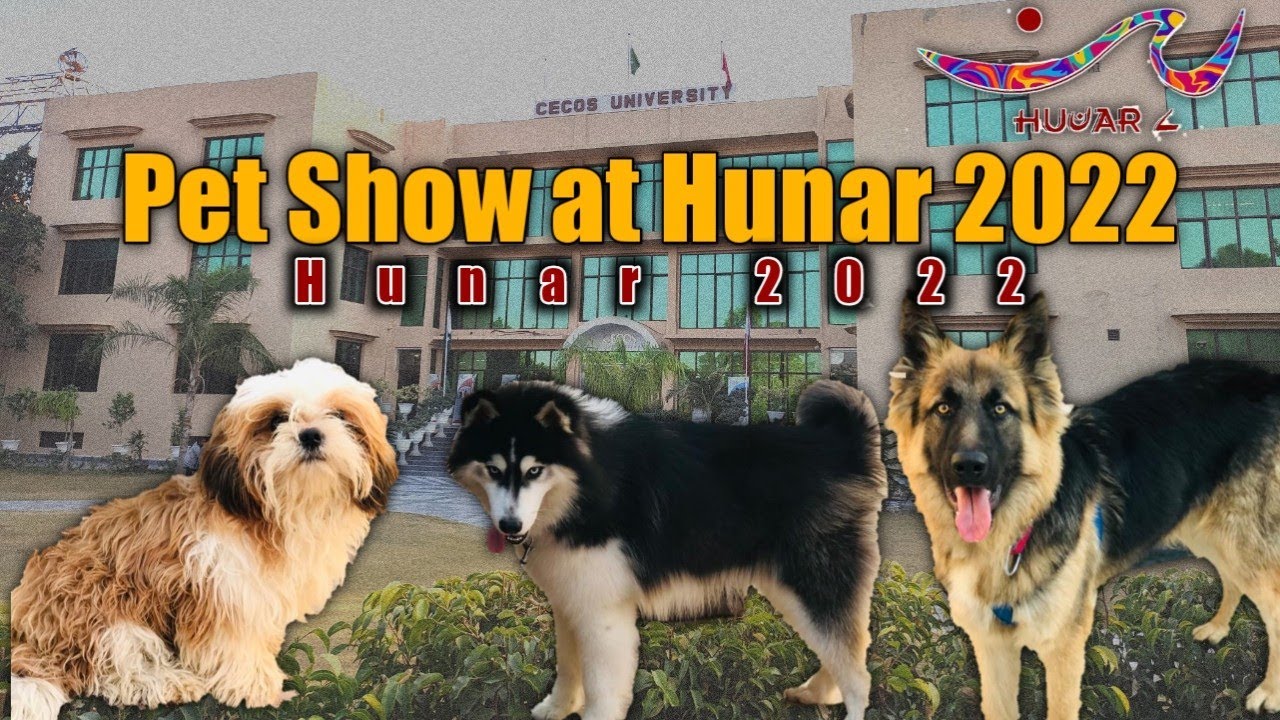 PET SHOW | At Hunar 2022 | Day 1 | CECOS University Peshawar | Asad Bangash Feat. Abdul Wadood Shah
