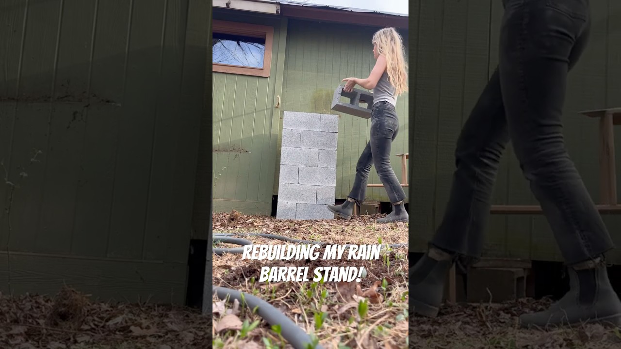 My #rainbarrel stand had rotted and was long over due for a fresh #remodel. #rainwater #diy