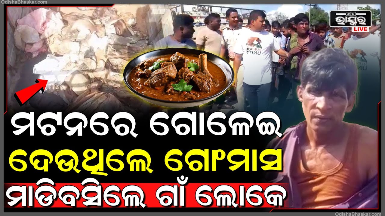 ଗୋମାତାଙ୍କ ମାଂସ ବୋହି ନେଉଥିଲା.. ଗାଁ ଲୋକେ ମାଡିବସି ବହେ ଛେଚିଲେ...