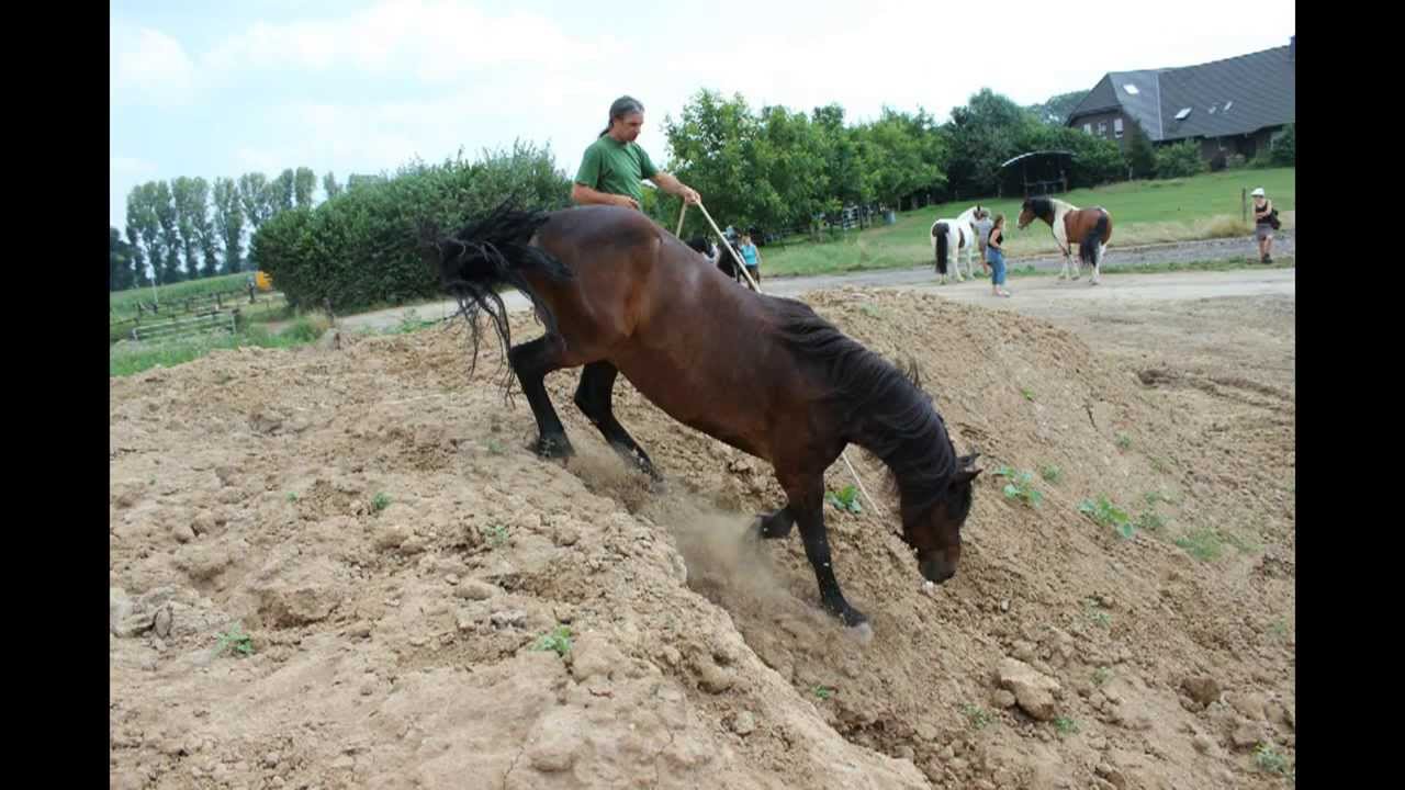 Thomas Günther ~ Pro-Ride Horsemanship-Camp 2013