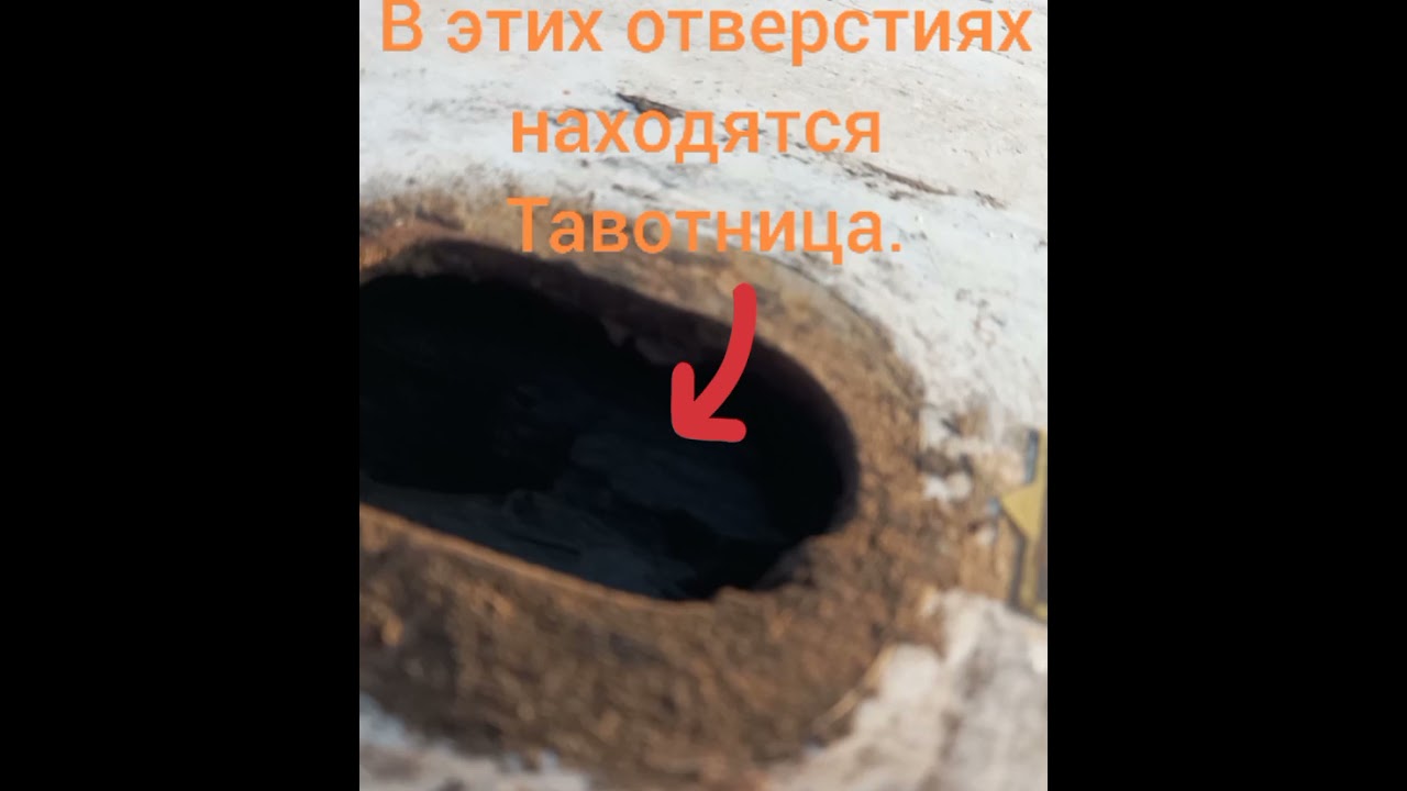 ТАДАНО GR800 EX 80t как шприцевать и где  тавотницы🤔
