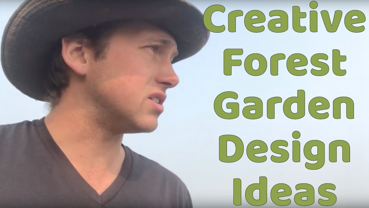 Forest Garden Design: Creative weeds, wind, pest solutions