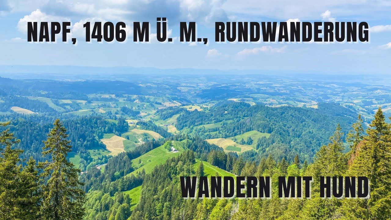 Napf, 1406 m ü. M., ab Wigerehütte | kurze Rundwanderung | Kanton Bern zum Kanton Luzern
