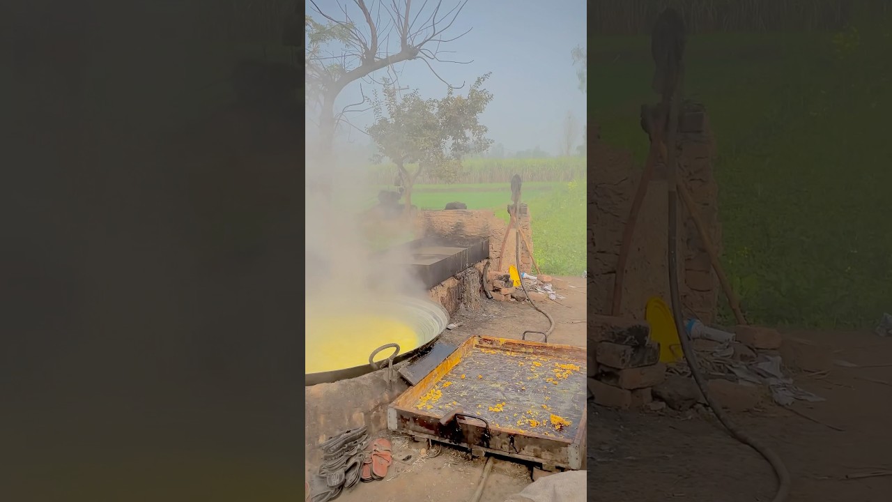 Simple village life in Pakistan Punjab 