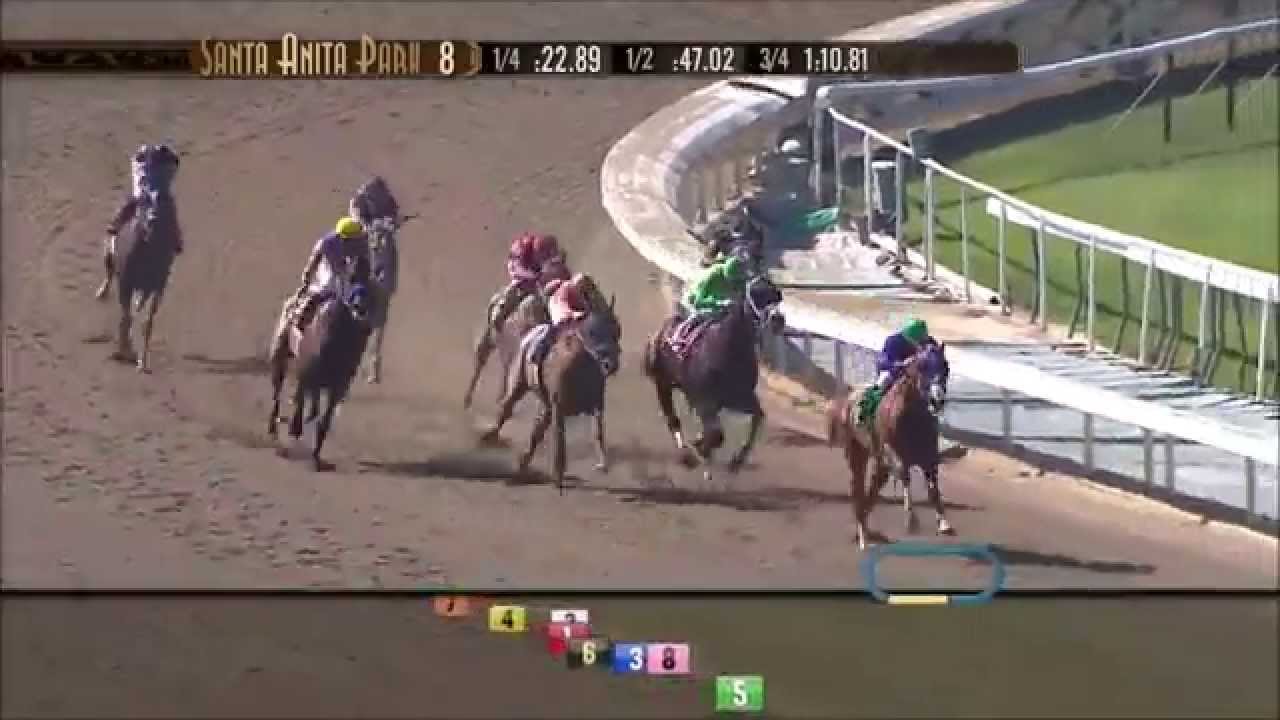 California Chrome all races