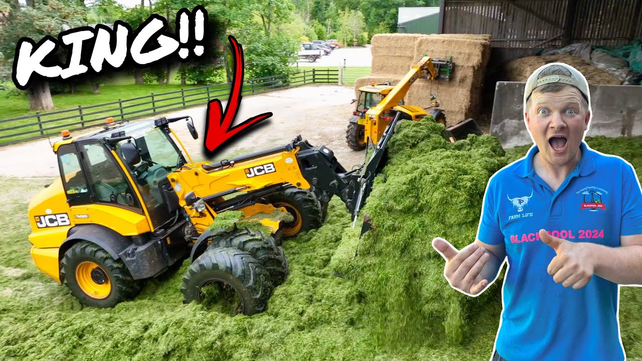 KING OF THE CLAMP!!