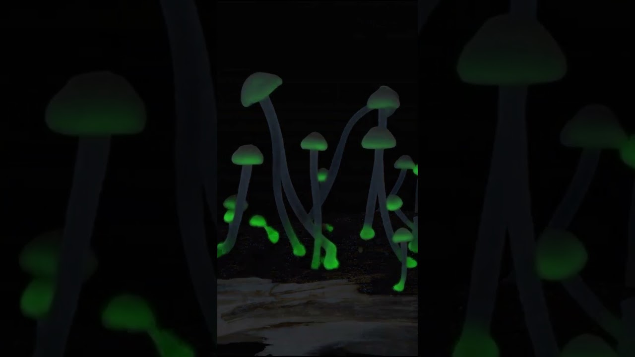 Glowing Mushrooms Vol. 001 - Luminous Porecaps