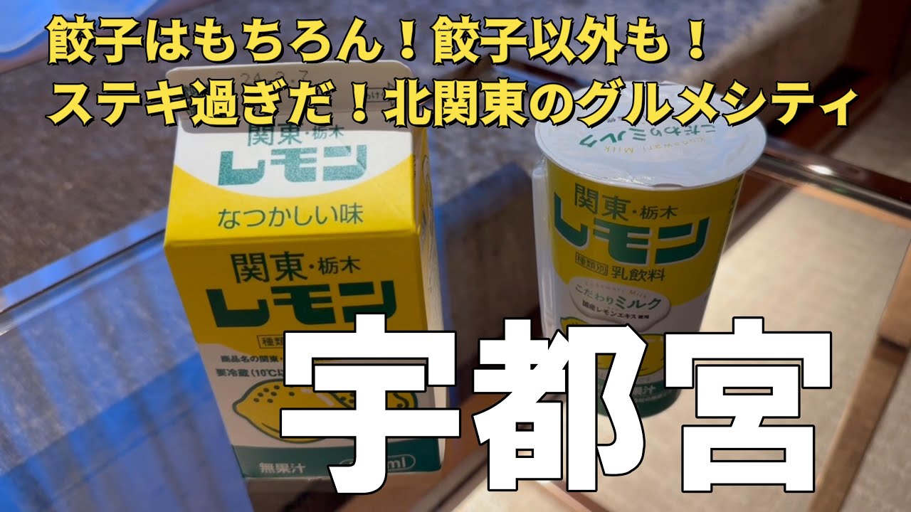 北関東のスーパーグルメシティ　宇都宮に行ってみた！【UTSUNOMIYA TOCHIGI JAPAN】餃子だけじゃなかった、でも餃子もめちゃウマ、恐るべし栃木のスーパーシティへ今すぐ行こう！