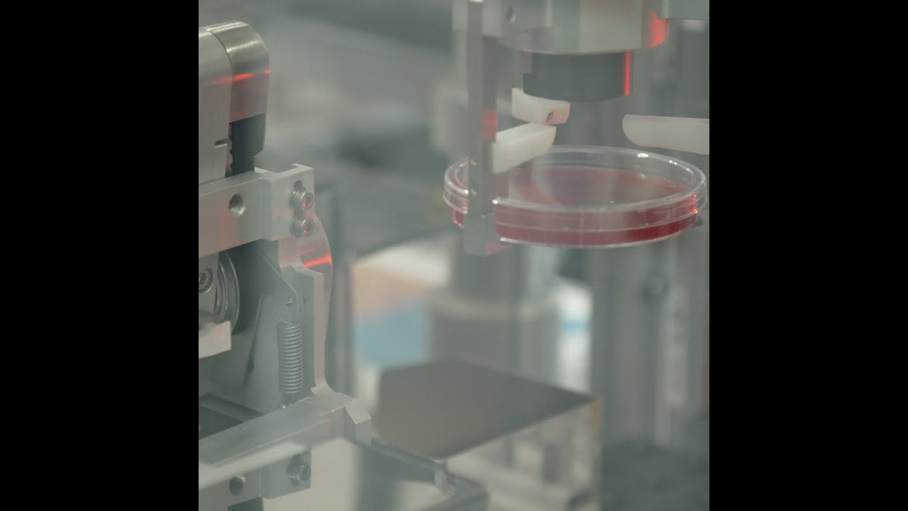 Résistance aux antibiotiques, quelles solutions ?