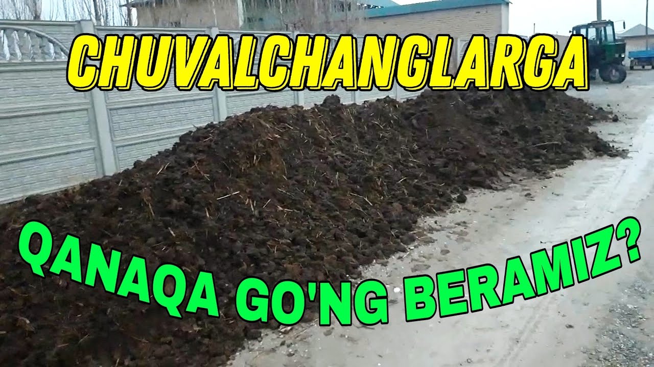 Chuvalchangga qanaqa go'ng olish kerak? Biogumus marg'ilon