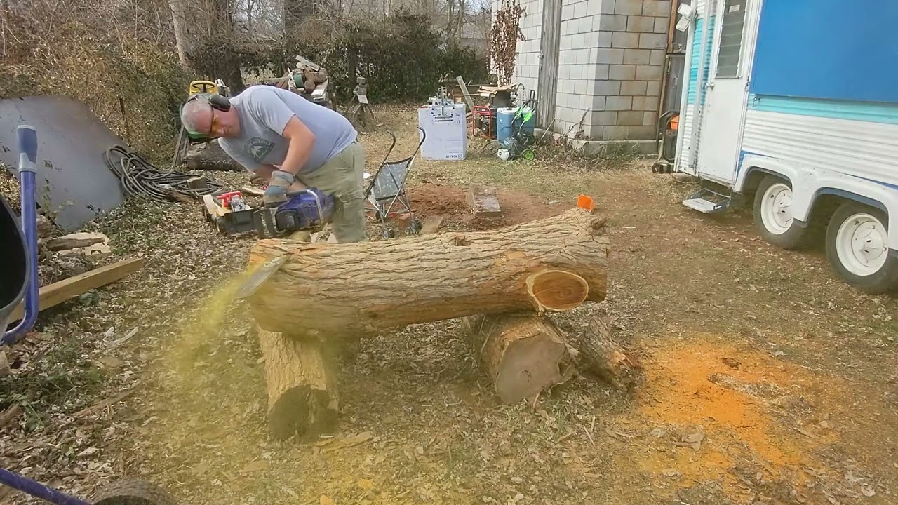 Osage orange   toughest wood the 395 clone has cut yet