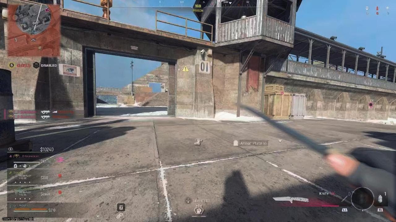Call of Duty wz dub