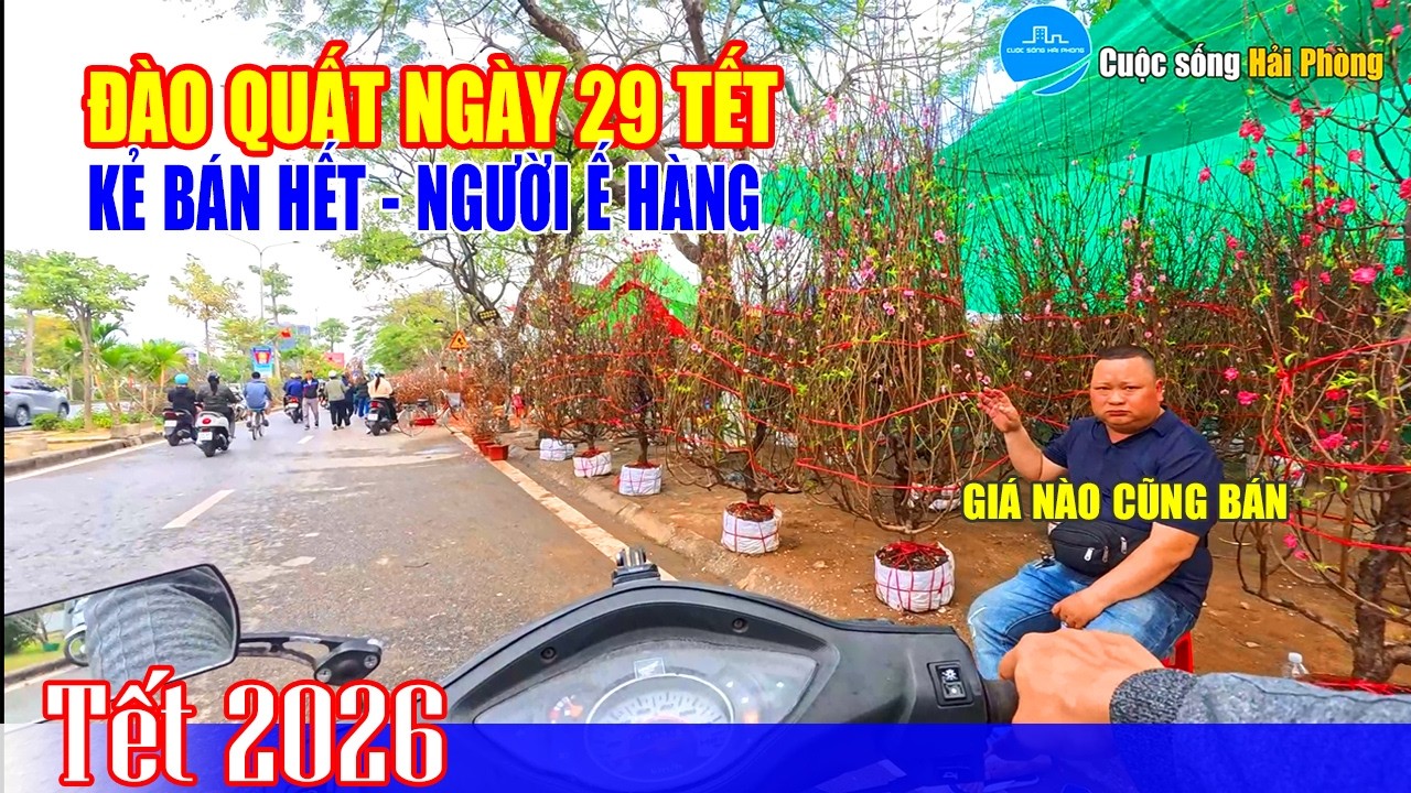 Tình hình đào quất 29 Tết: Tôn Đức Thắng bán chạy - Lê Hồng Phong ế nặng