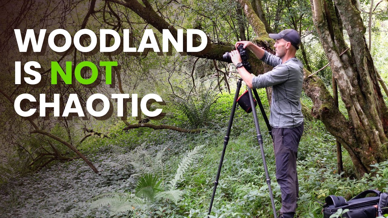 Woodland is NOT Chaotic
