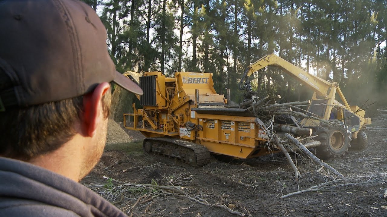 Bandit Beast 2680 + Bell Logger