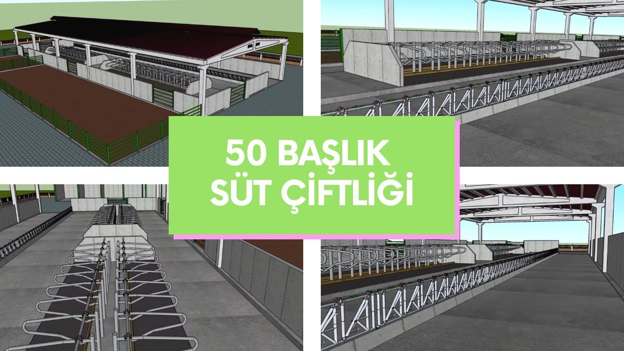 50 BAŞLIK SÜT ÇİFTLİĞİ PROJESİ - ÇİFTLİK EKSPERİ
