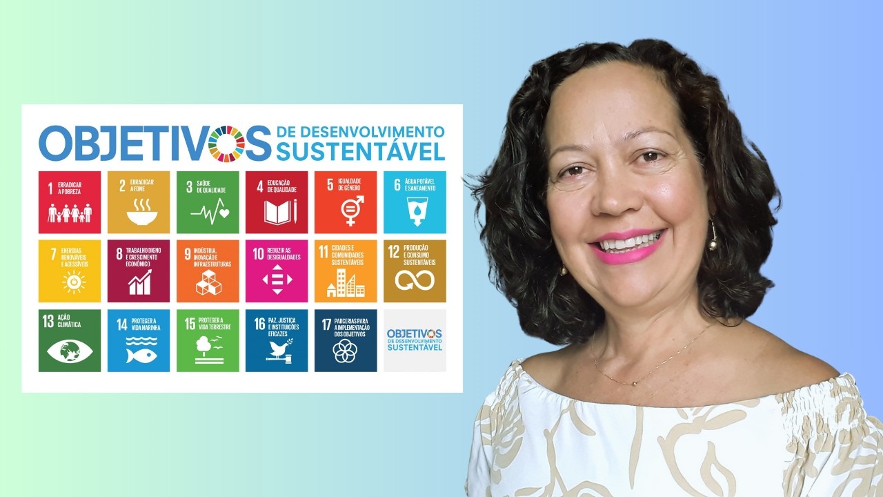 O QUE S&Atilde;O OS ODS DA ONU