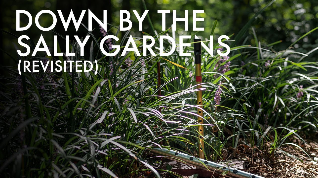 Down By the Sally Gardens (Redux) FAVORITE beginner tin whistle tune